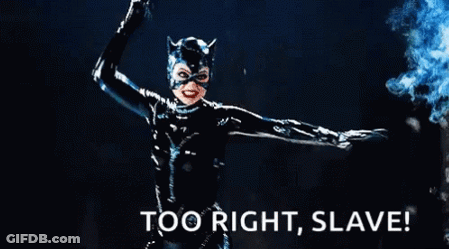 Cracking The Whip Cat Woman GIF
