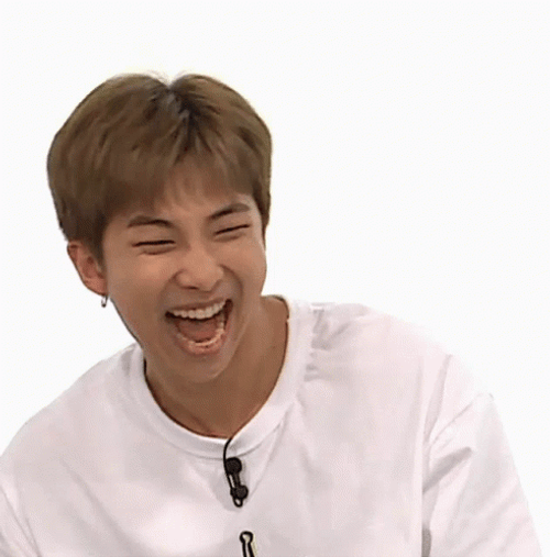Cracking Up BTS RM Namjoon GIF