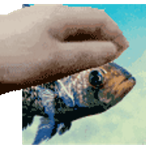 Crappie Fish Sticker GIF