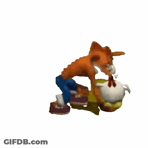 Crash Bandicoot Patting White Chicken GIF