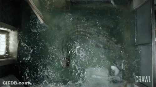 Crawl GIF