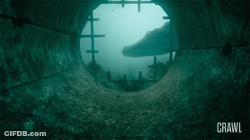 Crawl On Photo GIF