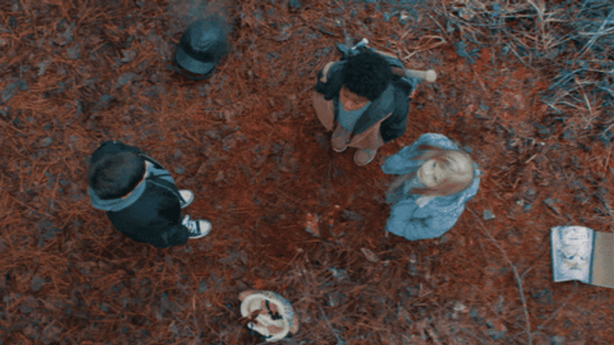 Crawling And Falling Spider GIF