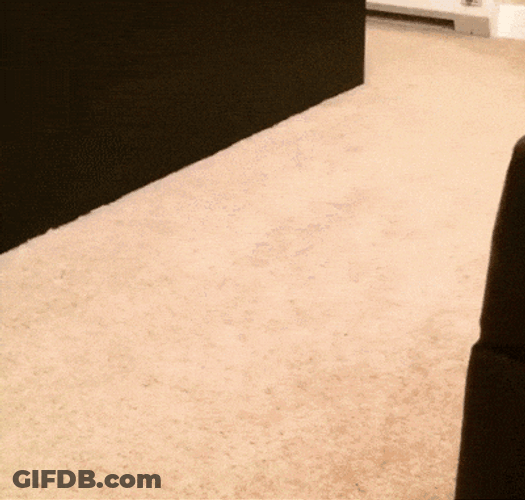 Crawling Belt Stop Motion Animation GIF