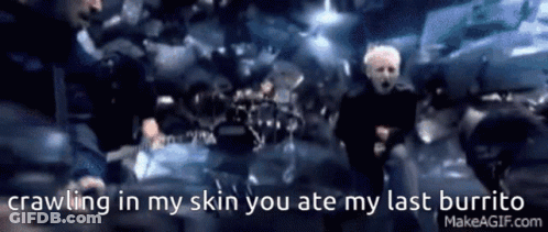 Crawling In My Skin You Ate My Last Burrito GIF