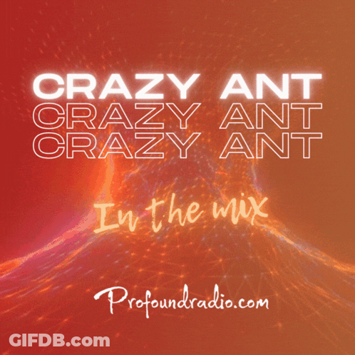 Crazy Ant Crazy Ant Crazy Ant In The Mix Advertisement GIF
