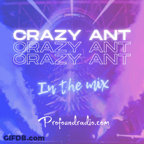 Crazy Ant In The Mix GIF