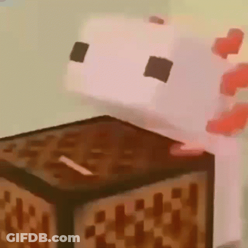 Crazy Axolotl Biting Box GIF