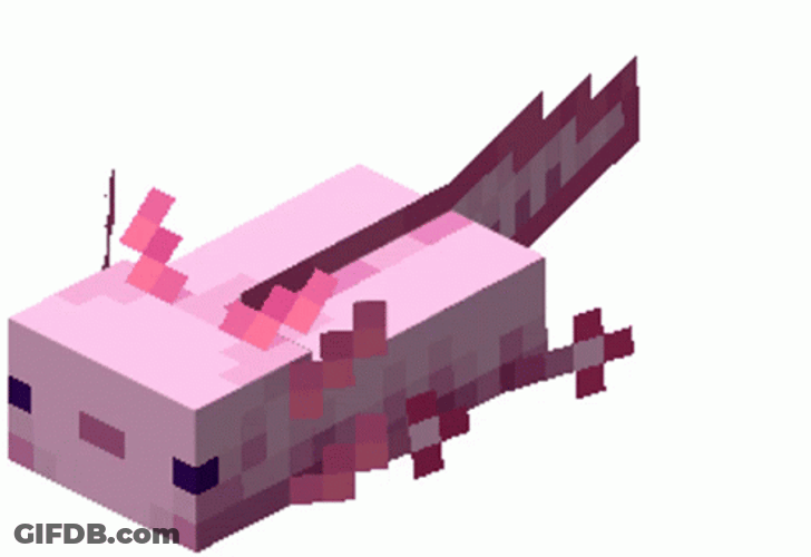 Crazy Axolotl In Minecraft GIF