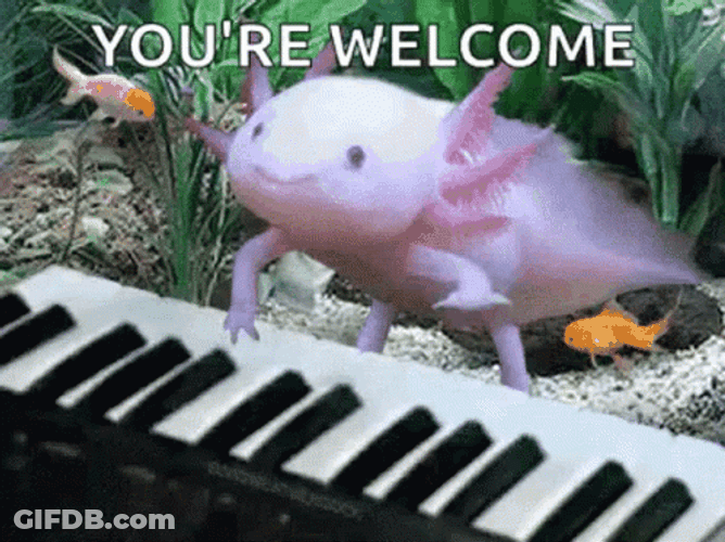 Crazy Axolotl Playing Piano GIF