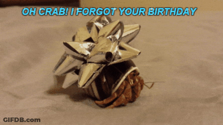 Crazy Birthday Gift Crab Gift Wrapped GIF
