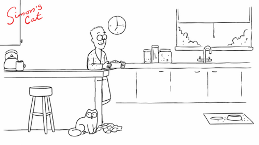 Crazy Cat Tripping Human Animation GIF