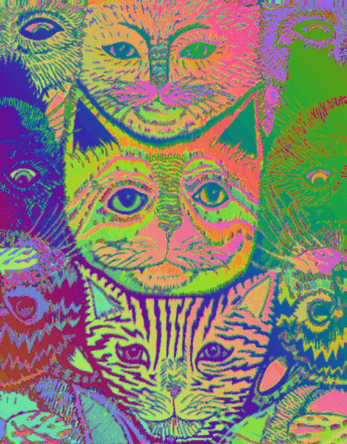 Crazy Cats Tripping GIF