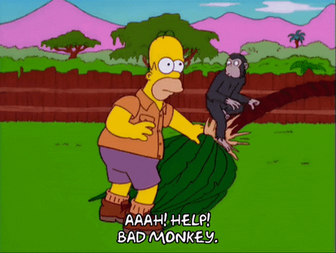 Crazy Chimp Jumping Onto Face Of Homer Simpson GIF