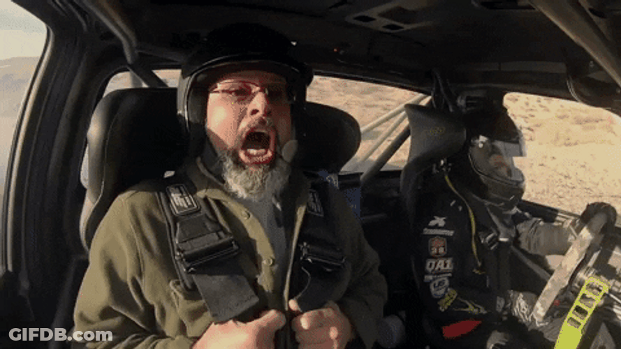 Crazy Driver And Shouting Passenger GIF