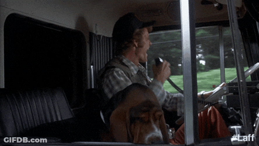 Crazy Driver GIF