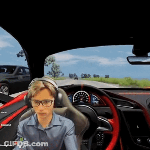 Crazy Driver Video Game GIF