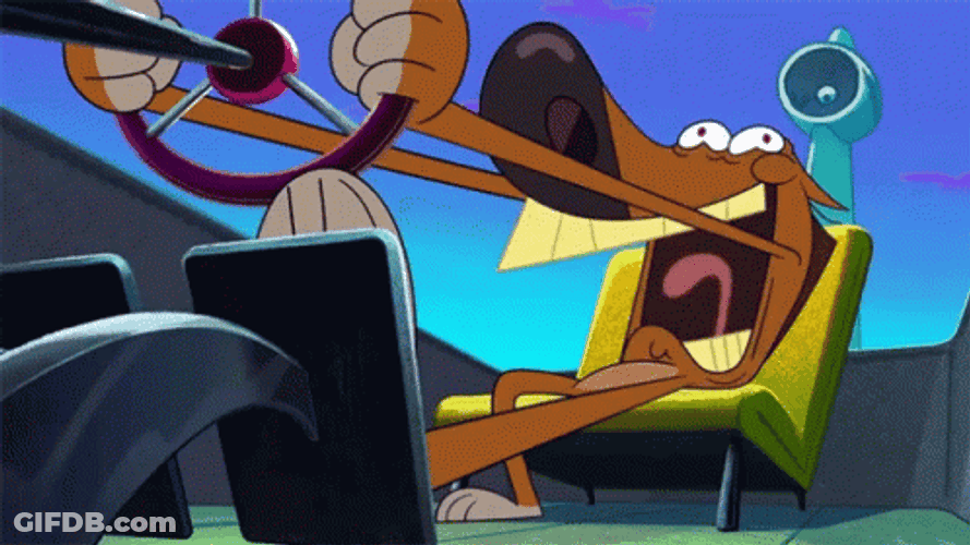Crazy Driver Zig And Sharko Cartoon GIF