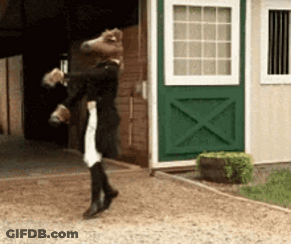 Crazy Head Pommel Horse Mask GIF
