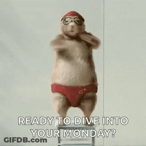 Crazy Monday Beaver Dancing GIF