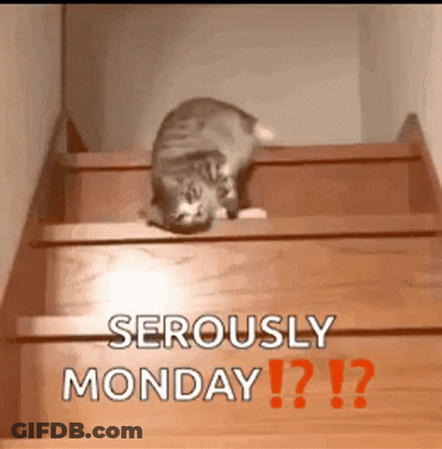 Crazy Monday Tired Cat On Stairs GIF