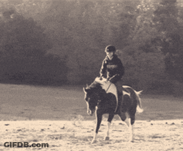 Crazy Running Pommel Horse GIF