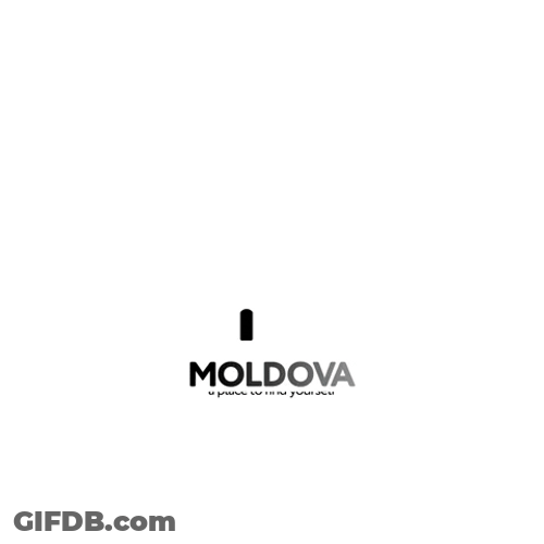 Creative Colorful Moldova Flower GIF