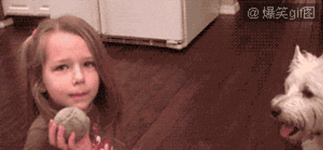Creative Tooth Extraction Girl Missing Her Teeth After Dog Fetch GIF