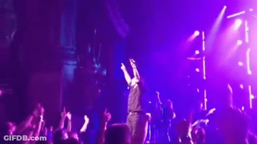 Creed Halftime Show Scott With Concert Audience GIF