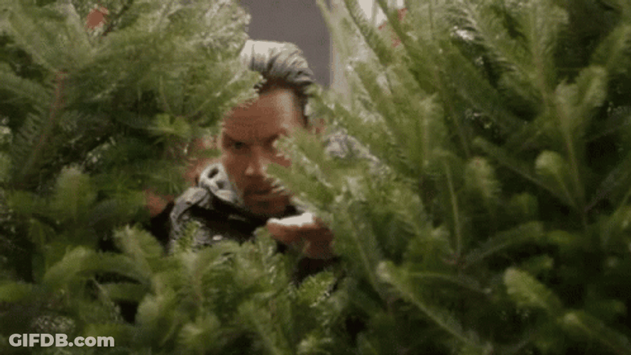 Creep Fine Tree Johnny Rose GIF