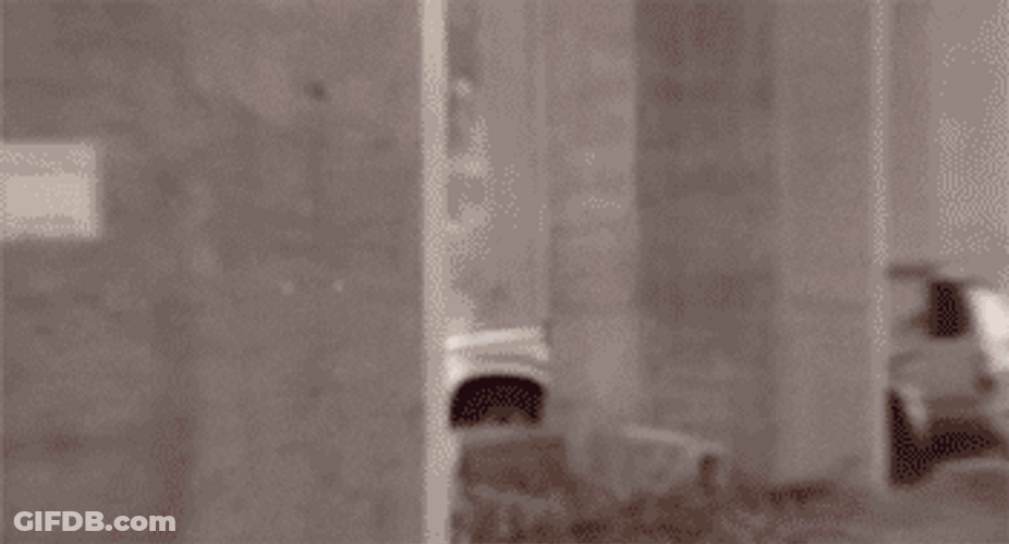 Creeper Hiding GIF