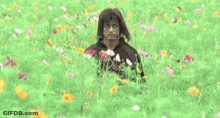 Creeper In The Garden GIF