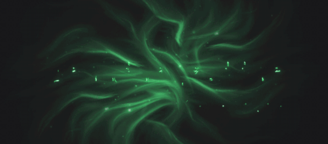 Creeper Ripper Title Screen GIF
