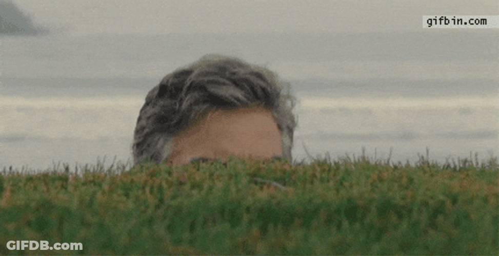 Creepin Beside The Grassland GIF