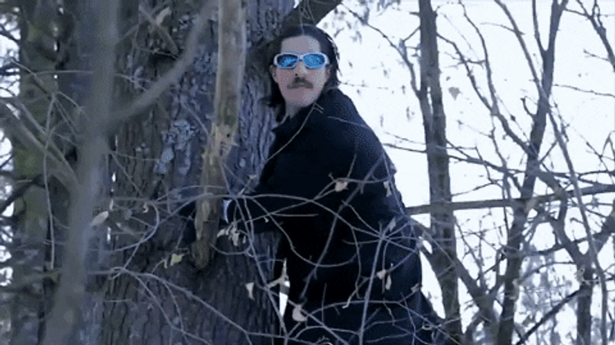 Creepin Outside The Snowy Forest GIF