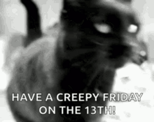 Creepy Cat Friday The 13Th GIF
