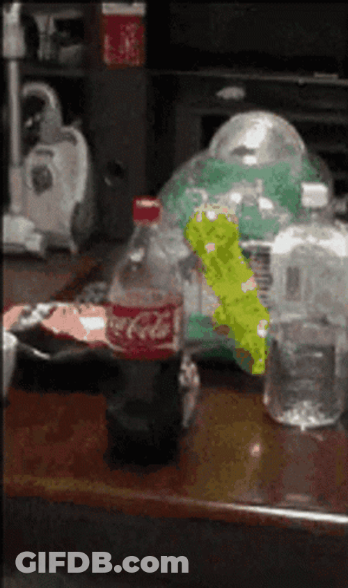 Creepy Cute Hamster Stalker GIF