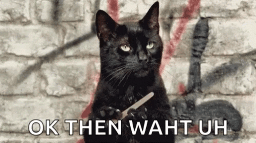 Creepy Evil Cat Okay Alrighty Then GIF