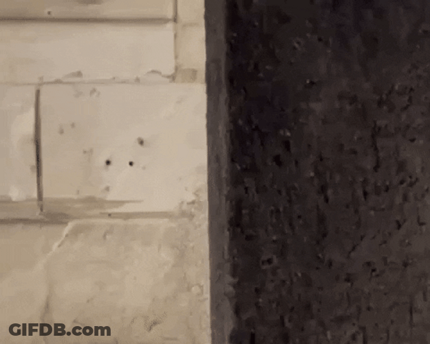 Creepy Guy Suspicious Look GIF