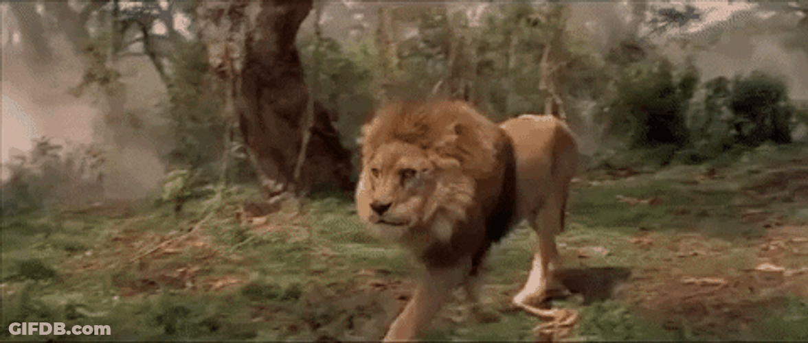 Creepy Lion Walk GIF