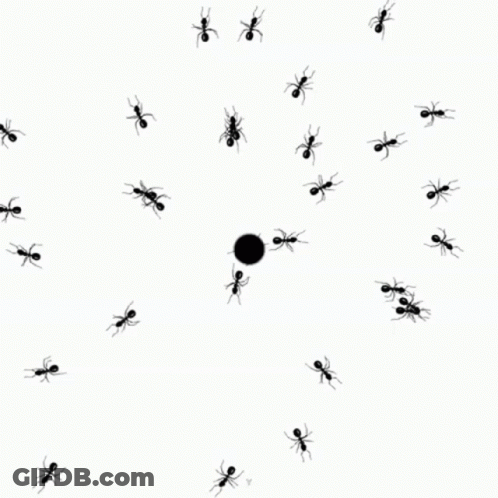 Creepycrawlies Everywhere GIF