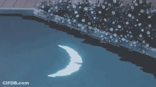 Crescent Moon Floating In Pool Water GIF