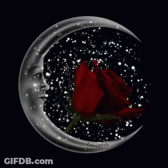 Crescent Moon With Face And Red Rose GIF