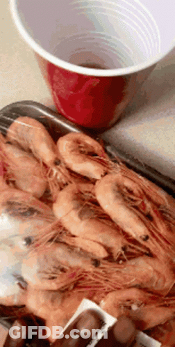 Crevettes Shrimp GIF