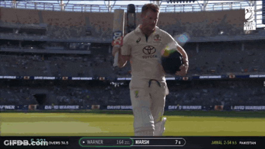 Cricket David Warner GIF