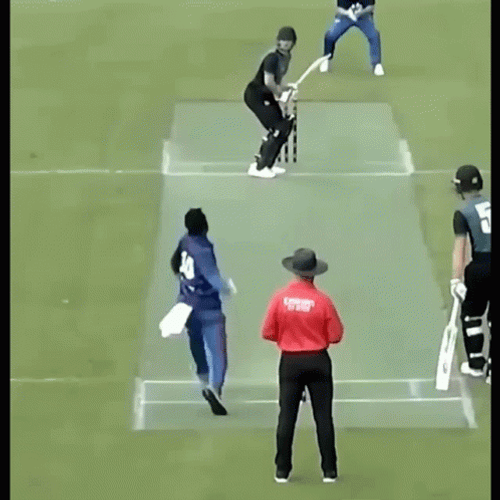 Cricket Field Player Tumbling GIF