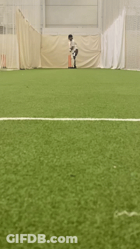 Cricket Field With White Line GIF