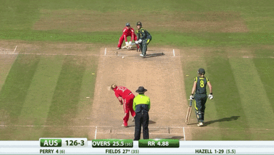 Cricket Fielding Team Scored GIF