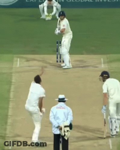 Cricket Game In Front Of Experian Global Invest Sign GIF