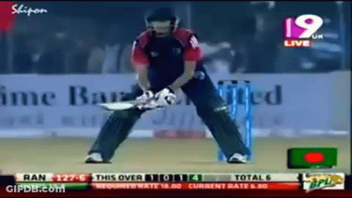Cricket Game Played 19 UK GIF